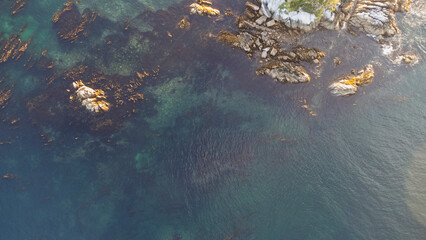 Rocks pop out from the shallow clear ocean floor.
