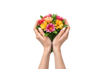 Colorful bouquet held by hands in soft light, cut out - stock png.