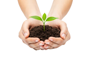 Nurturing a young plant with caring hands, cut out - stock png.