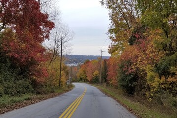 Fototapeta premium Autumn Road Winding Through Colorful Foliage