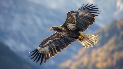 Fototapeta premium Majestic eagle soaring through a mountainous landscape