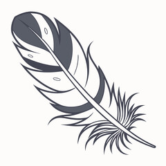 illustration of a feather
