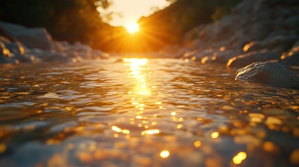 Sunlight streams through a shallow mountain stream at sunset.