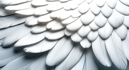 Fototapeta premium white feathers, angel wings, intricate detail, close-up, soft texture, overlapping layers, ethereal, pure, heavenly, graceful, 3D rendering, high resolution, dramatic lighting, serene atmosphere, divi