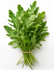 Fresh bunch of arugula, vibrant green leaves, tied with twine.