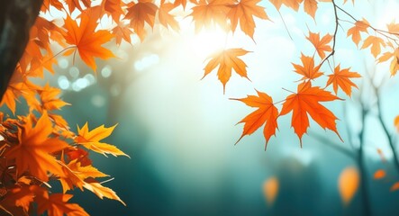 Autumn maple leaves, golden orange foliage, sunlight streaming through trees, misty forest background, ethereal atmosphere, dreamy bokeh, soft focus, vibrant fall colors, nature photography, shallow d