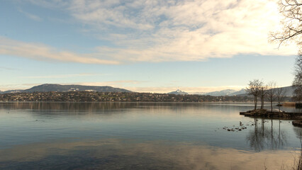 Fototapeta premium vue sur le lac et les alpes depuis les parcs , Genève