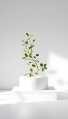 3D display, podium white background. Nature green plant branch with leaves. Minimal beauty pedestal. Cosmetic product presentation. Organic leaf. Template with greek column. Studio 3d render, dreamy