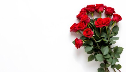 Red Roses Bouquet Elegantly Posed on White