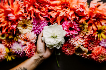 bouquet of flowers in hands
