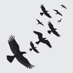 Many kinds of birds flyingimage silhouette vector art and illustration