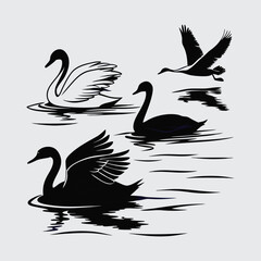 many-kinds-of-birds-swiming  image silhouette vector art and illustration