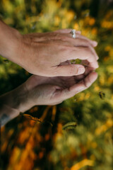 person in the forest