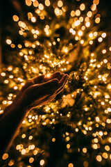 golden christmas lights