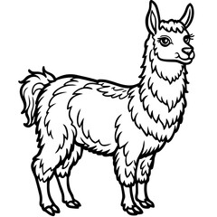 Obraz premium Cute Llama Illustration in Black and White Outline, AI Generation