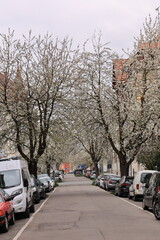 Blick in die Altstadt von Konstanz am Bodensee