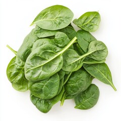 Fototapeta premium A pile of fresh spinach leaves, isolated on a white background.