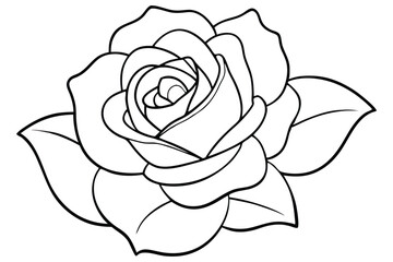 line art of rose flower black and white outline