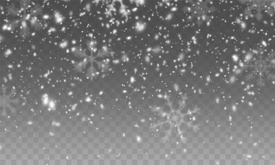 Christmas snowflakes on a transparent background. Snow flakes, snow background. Heavy snowfall, snowflakes in different shapes and forms.