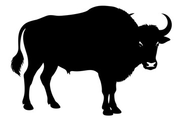 Buffalo Silhouette vector illustration