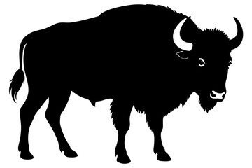 Buffalo Silhouette vector illustration
