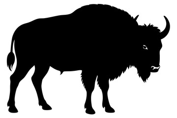 Buffalo Silhouette vector illustration