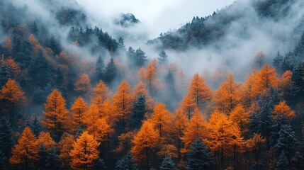 Misty mountain landscape with vibrant orange autumn trees and dense forest