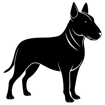 recommend clip art: Bull Terrier Silhouette vector illustration