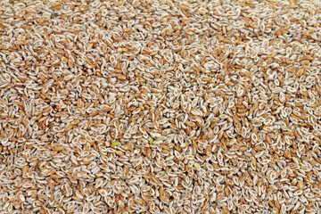 Psyllium husks, swelling agent and stool softener with lots of healthy fiber