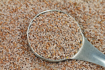 Psyllium husks, swelling agent and stool softener with lots of healthy fiber