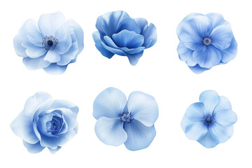Serene Blue Flowers: A Collection of Delicate Petals, Exquisite Blooms, and Tranquil Hues, Perfect for Relaxation and Inspiration. Botanical Beauty in Stunning Detail.