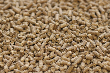 Wood filler for cat toilet, selective focus. Hygienic filler for pets. Pressed wood, large granules. Pellets. A pile of wood pellets. Filler for dogs, cats, domestic rodents