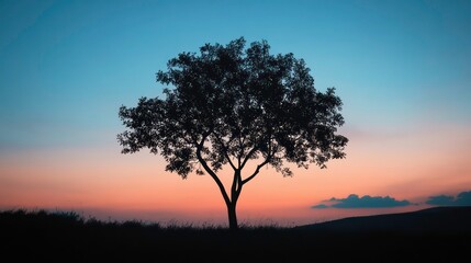 Obraz premium Solitary tree silhouetted against a vibrant sunset sky.