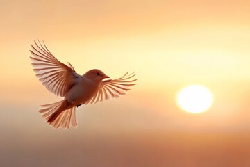 Fototapeta premium Beautiful bird soaring at sunset with vibrant colors in the sky and soft light illuminating its wings