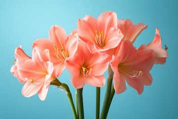 Beautiful pink flowers arranged against a bright blue background for a fresh spring vibe