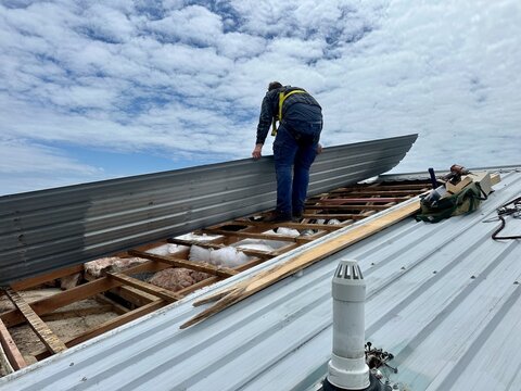 Man wearing a harness standing on the wooden battens of a timber framed roof structure with a piece of long run sheeting iron in his hands in the middle of a roof repair job in New Zealand