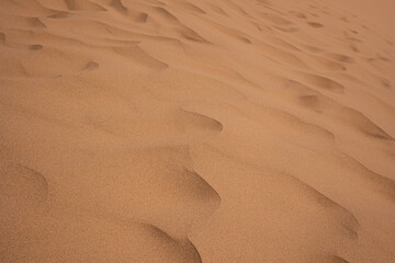 sand dunes, close-up. the texture of the desert
