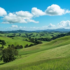 Fototapeta premium landscape with green grass and blue sky illustration