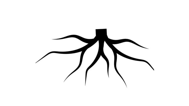 root icon flat isolated animation