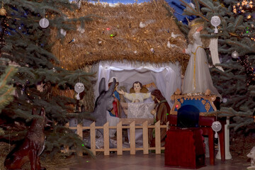  Szopka ustawiona ( zabytkowe rzeźby) w kolegiacie św. Michała Archanioła z okazji Bożego Narodzenia. Postacie - Dzieciątko Jezus, Najświętsza Maria Panna, Święty Józef, aniołowie i zwierzęta. © Grzegorz