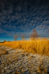 Dry pond at the winter morning,lansdcape with pond and froxen dirt. Beautiful clouds in the sky , reed on the beach .Sunlights through the trees, snow on the ground with ice, enviroment on the lake.