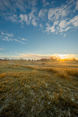 Snowy and frosty field with road,sunrise in the sky.Beautiful clouds in the sky.Nature at the winter time.Winter morning, sunlights over the road , beautiful nature landscape 