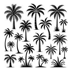 Tropical Paradise: Silhouettes of Palm Trees for Graphic Design. Explore the beauty of the tropics with this versatile collection of palm tree silhouettes. © EngAhmedPixel