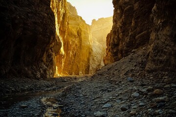 Desert canyon glowing in warm evening light.