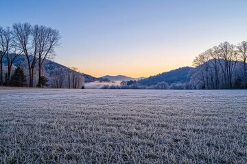Obraz premium Early frost covering an open meadow at dawn.