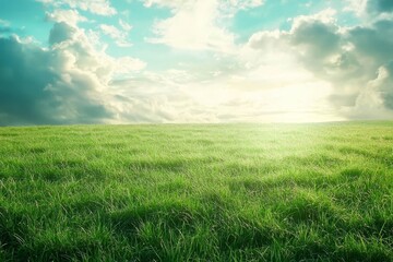 Vast expanse of grassland beneath a dramatic storm sky.