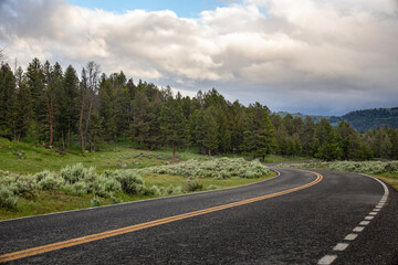 Fototapeta premium scenic drive through yellowstone national park with pine trees and clouds on a perfect summer day with clouds in the sky
