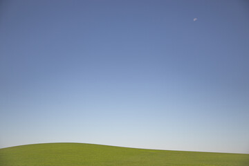 minimalistic background with rolling green hills clear blue sky and the moon. the perfect landscape 