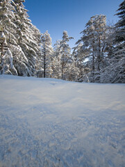Winter landscape of Vitosha Mountain, Bulgaria
