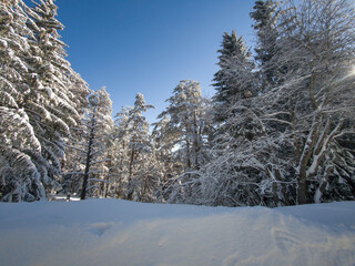 Winter landscape of Vitosha Mountain, Bulgaria